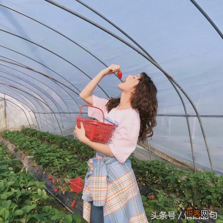 超火的100句土味情话合集 拿去撩妹撩汉吧