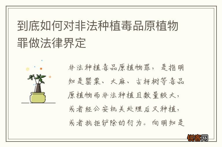 到底如何对非法种植毒品原植物罪做法律界定