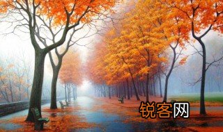 一年共有几个季度 一年共有多少个季度