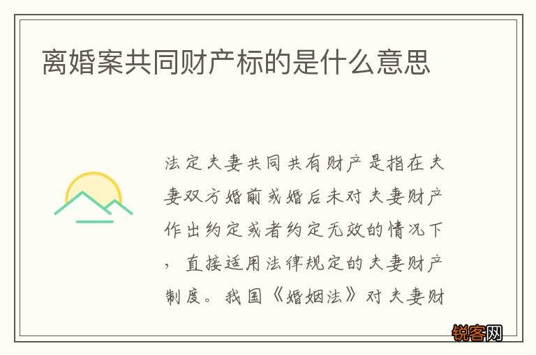 离婚案共同财产标的是什么意思