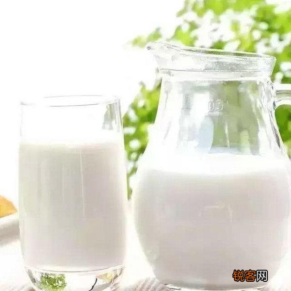 十大高蛋白食物排行榜 有助于提高免疫力