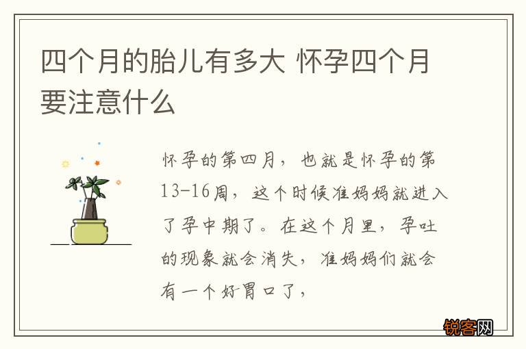 四个月的胎儿有多大 怀孕四个月要注意什么