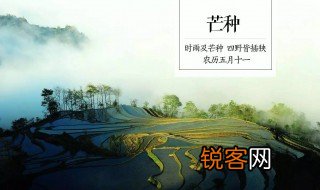 二十四节气芒种有关的古诗词 与芒种相关的诗句