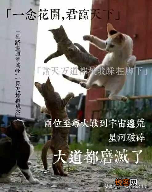网文作家中,哪些作者的作品文笔很好、剧情贼棒的？