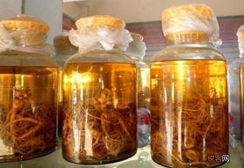 陈皮泡酒的功效与作用 陈皮泡酒的食用方式和注意事项