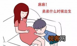生育率低会导致什么后果 生育率低会造成什么后果
