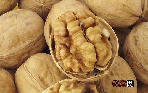 学生吃什么可以补脑 学生吃什么可以补脑和提高智力