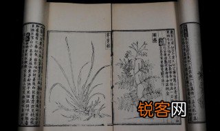 救荒本草是什么时期的著作 救荒本草简介