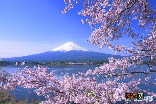 日本六大财团,控制日本六成资产,为何首富却一直是韩国人？