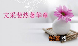 文采斐然的意思解释 文采斐然的意思