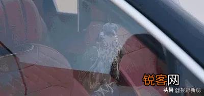 韩国与沙特哪个国家有钱？