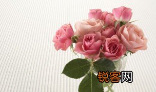赠人玫瑰手留余香是什么意思 赠人玫瑰手留余香的意思