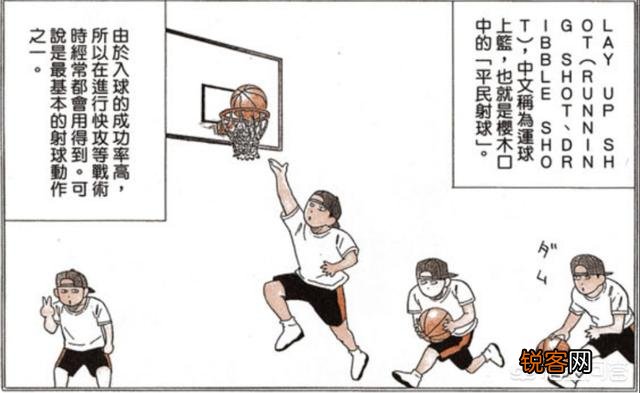 《灌篮高手》中井上为何会设计T博士这个Q版人物？他的原型是樱木花道还是井上雄彦呢？你怎么看？