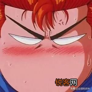 《灌篮高手》中的樱木花道最终干什么去了呢？