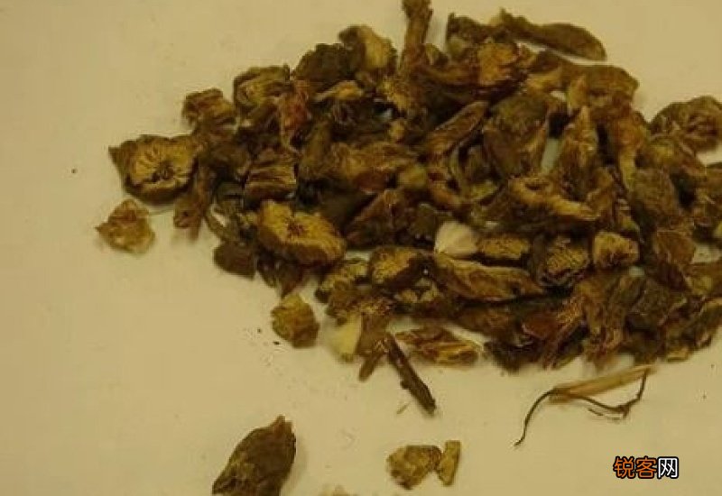 白头翁汤的功效与作用 白头翁汤的食用方式和注意事项