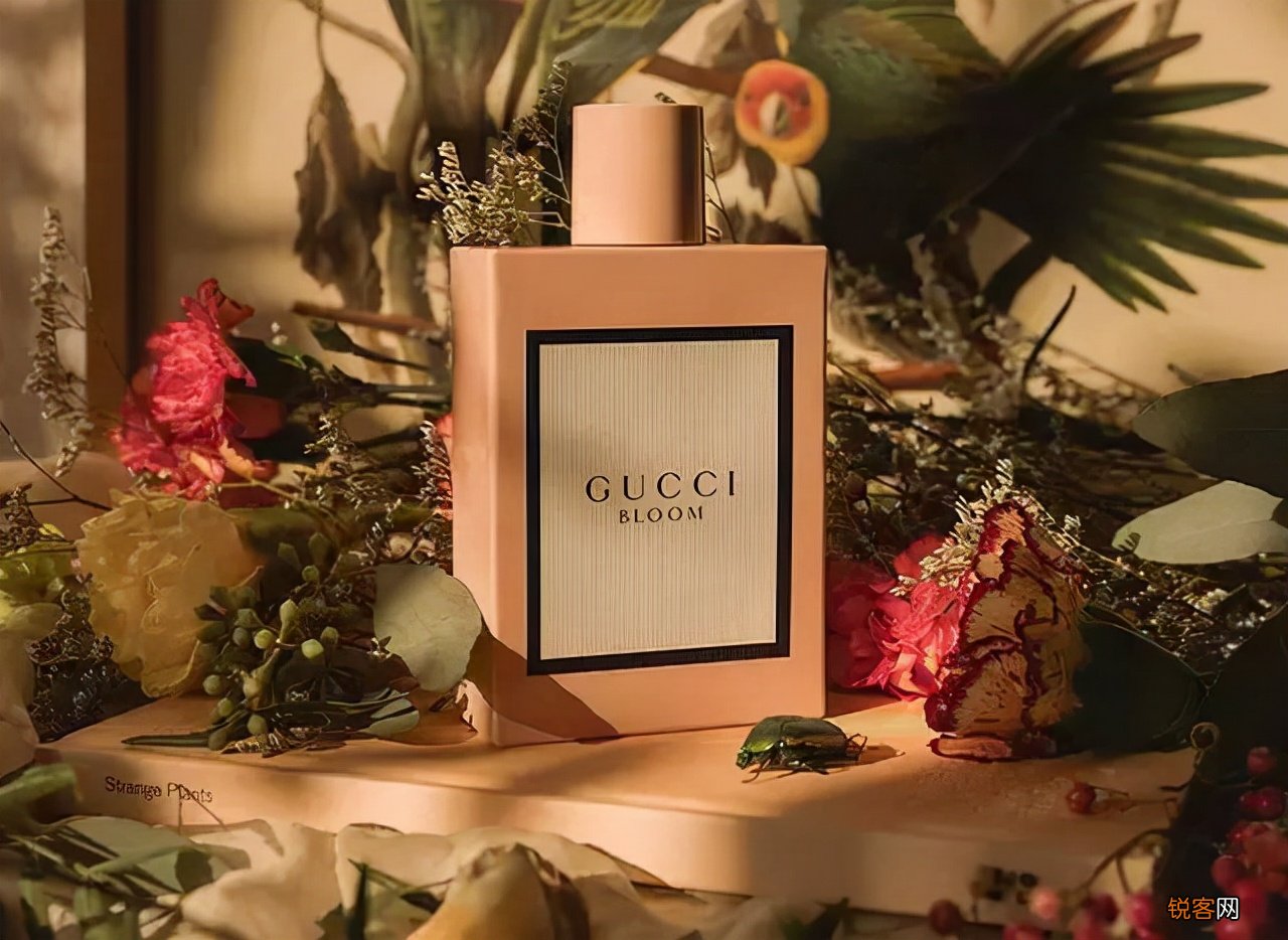 gucci香水哪款最受欢迎 Gucci5款最受欢迎的香水