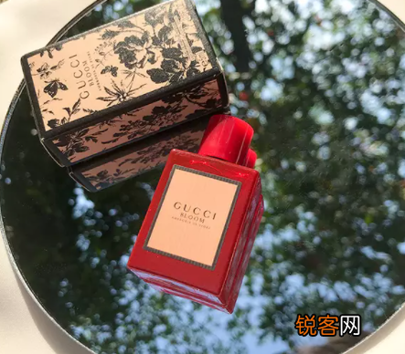 gucci香水哪款最受欢迎 Gucci5款最受欢迎的香水