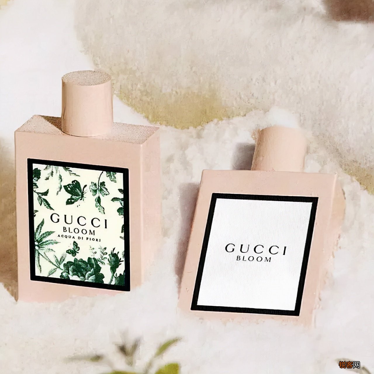 gucci香水哪款最受欢迎 Gucci5款最受欢迎的香水