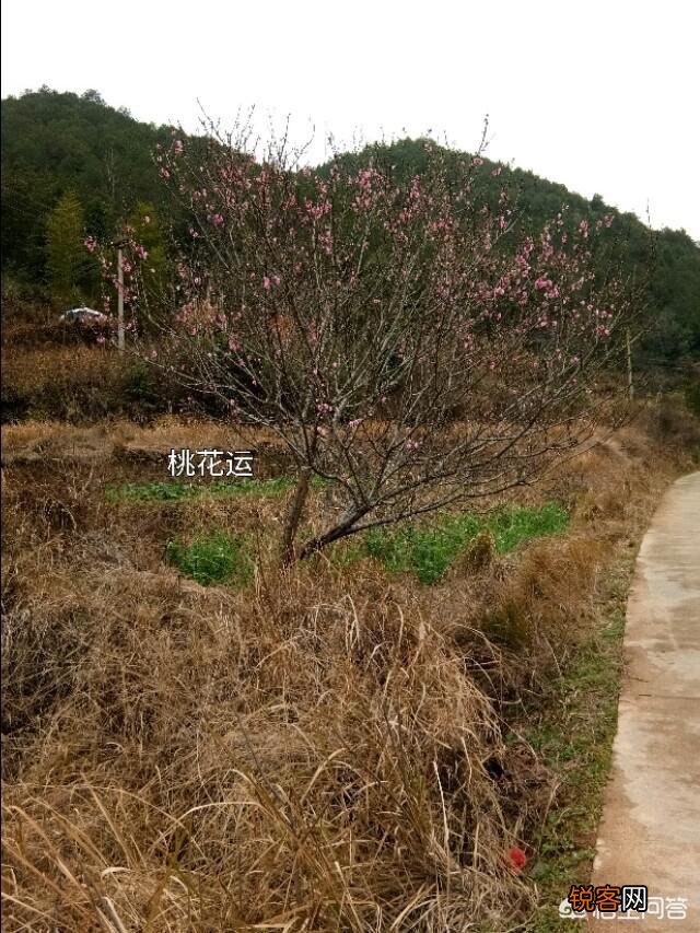 创业中有什么捷径能快速成功？