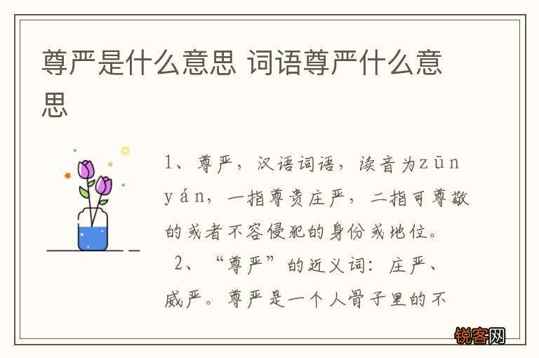 尊严是什么意思 词语尊严什么意思