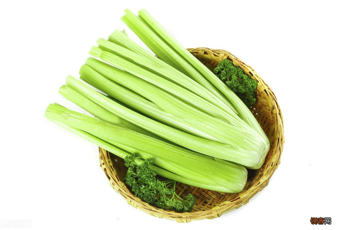 芹菜和什么菜搭配好吃 芹菜与西芹的区别