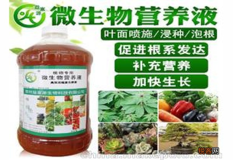 自制蔬菜营养液的方法