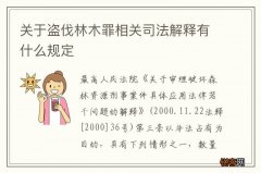 关于盗伐林木罪相关司法解释有什么规定
