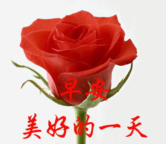 当你什么都不会的时候,你想创业该怎么做？