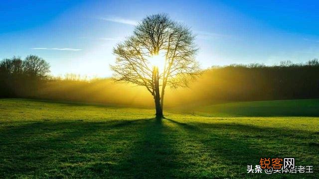 你们知道创业最需要的是什么吗？创业成不成功取决于哪些因素？