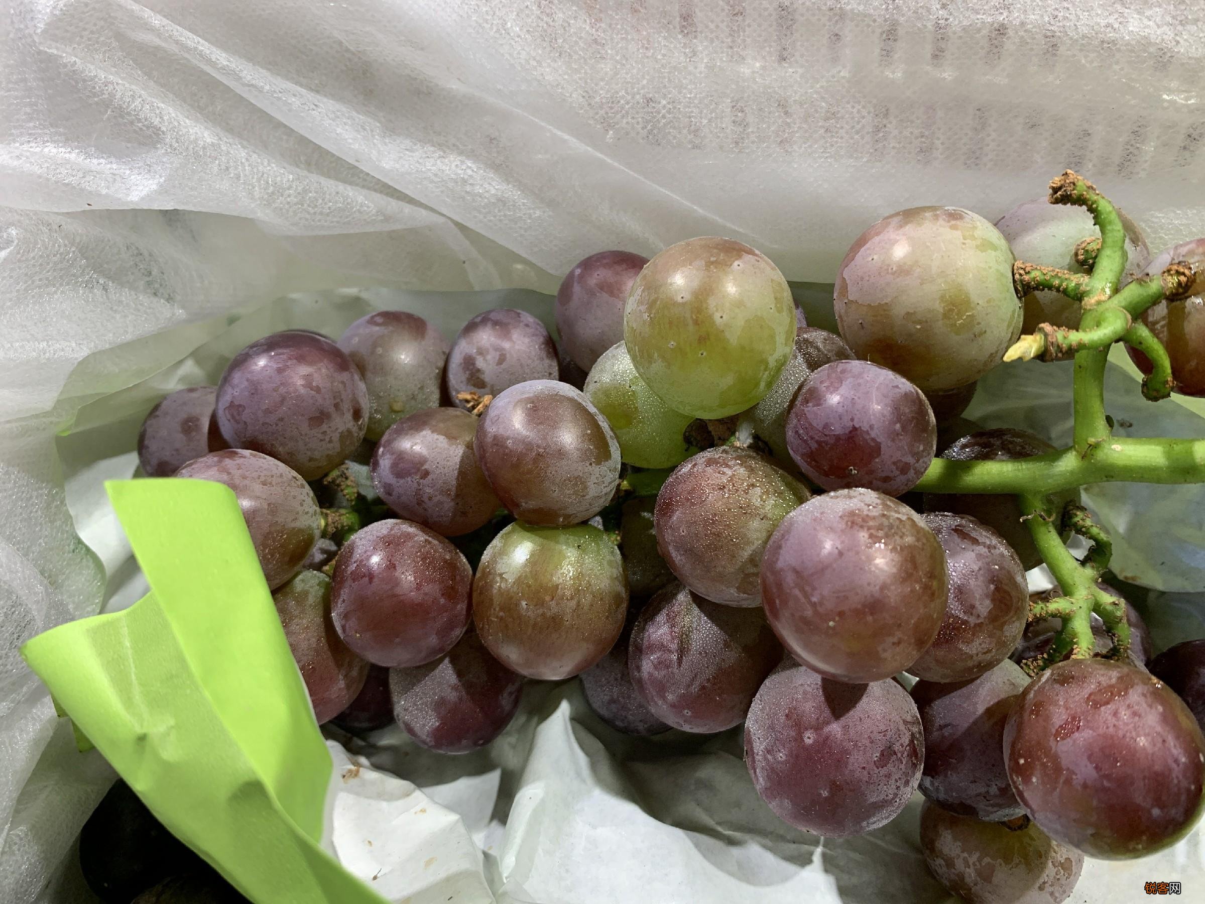 怎么洗葡萄最干净 教你正确清洗方法