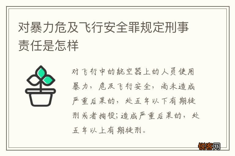 对暴力危及飞行安全罪规定刑事责任是怎样