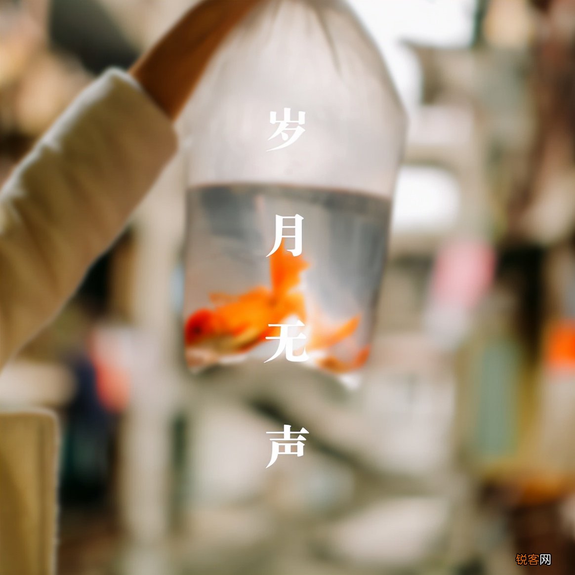 描述珍惜当下的美好古诗词 时光匆匆催人老，感慨岁月催人老，珍惜当下