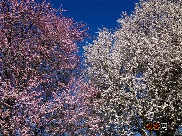 复旦老师陈果关于爱情的名言 复旦女神陈果的20句经典语录