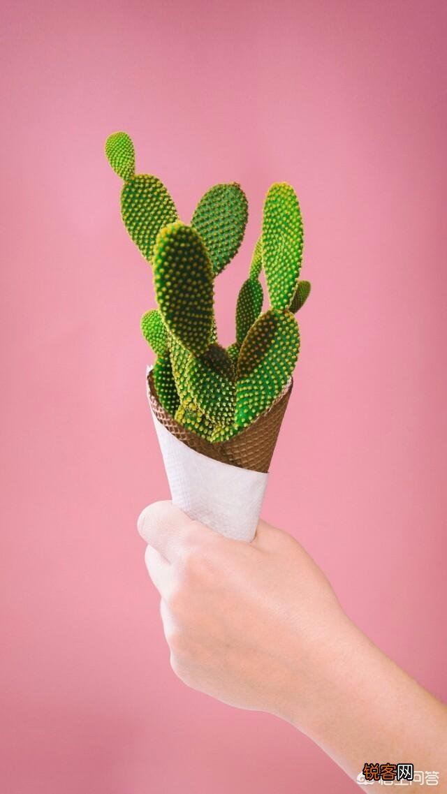 如何委婉地向公司提出辞职？有什么比较合适的理由？