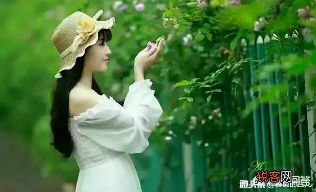 什么样的女生最美？