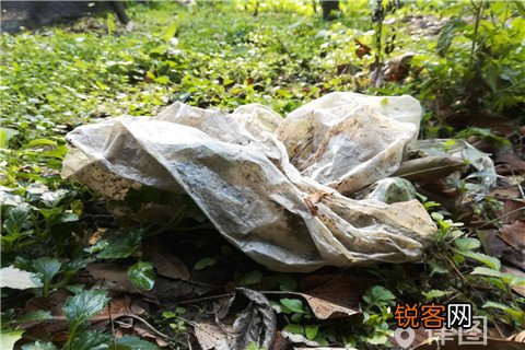 环境污染过错推定原则是什么？