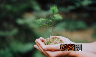 环保问题有哪些方面 环保包括哪些方面？