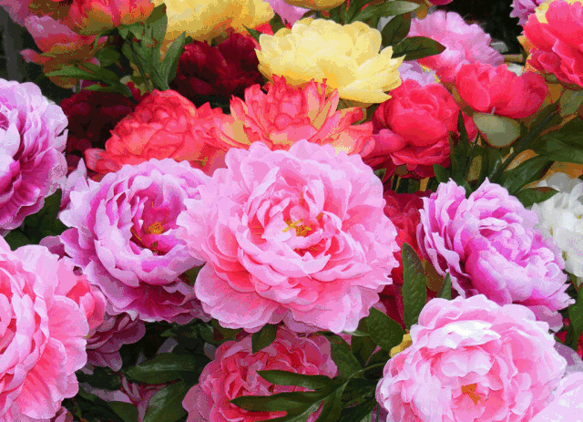 什么样的长相女人最漂亮？