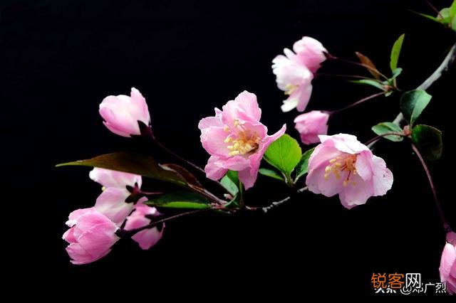 什么样的长相女人最漂亮？