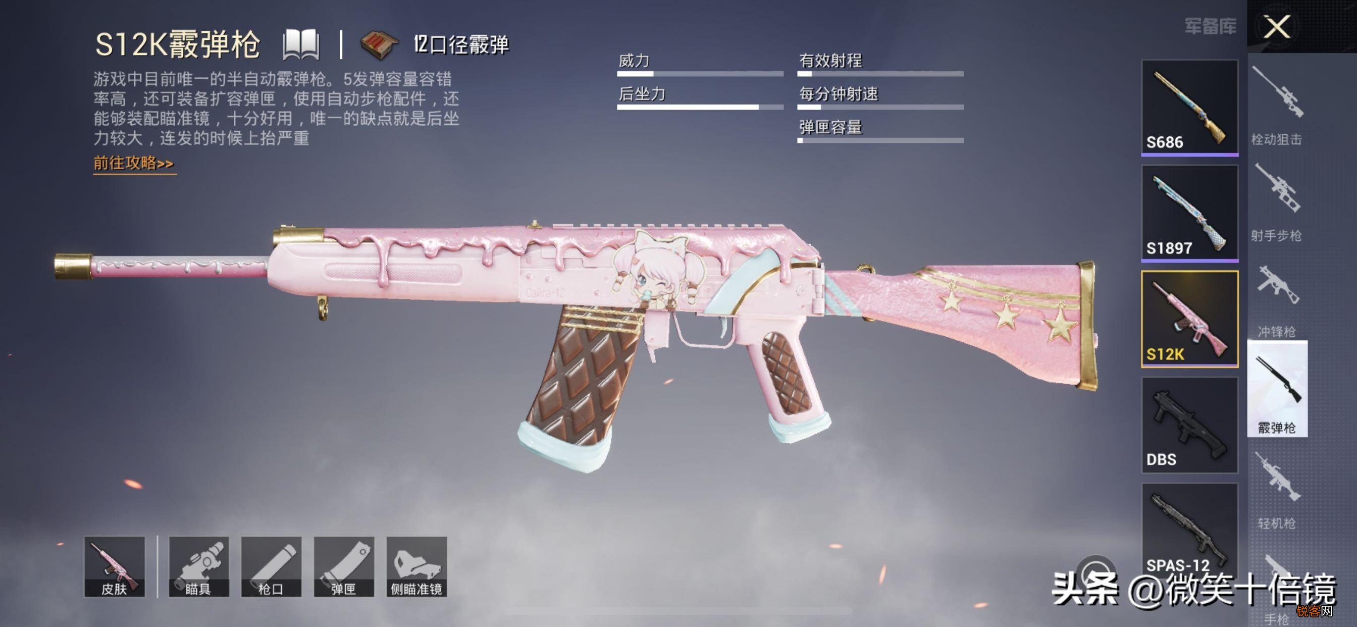 和平精英：最牛贴脸钢枪的武器 S12K仅排第二