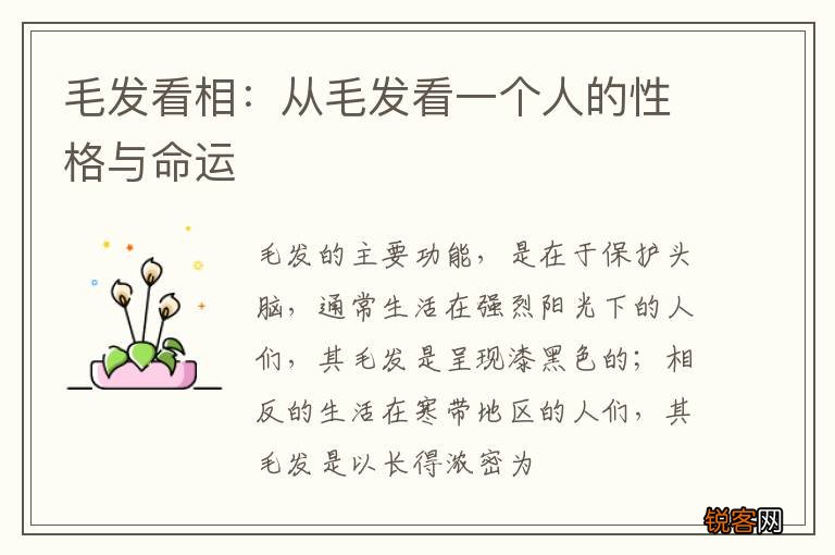 毛发看相：从毛发看一个人的性格与命运