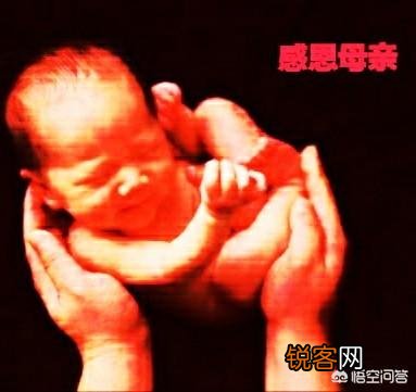 为什么母亲是天底下最美的女人？