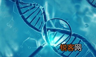 dna分子的结构是什么结构 DNA分子是由什么组成的