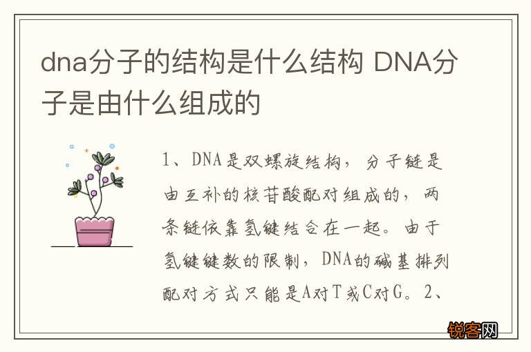 dna分子的结构是什么结构 DNA分子是由什么组成的