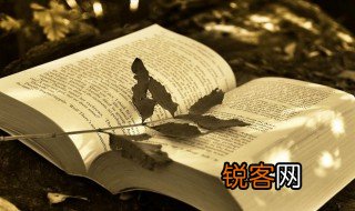 竹竿的意思 竹竿的解释