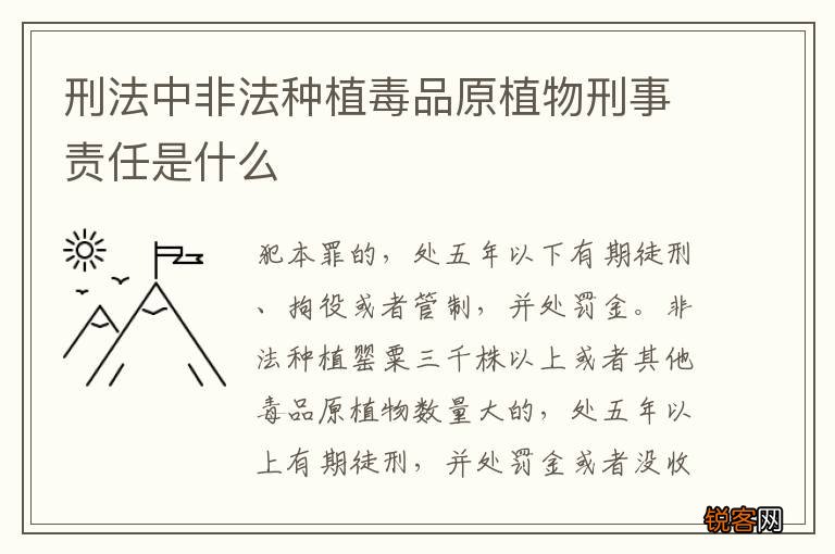 刑法中非法种植毒品原植物刑事责任是什么