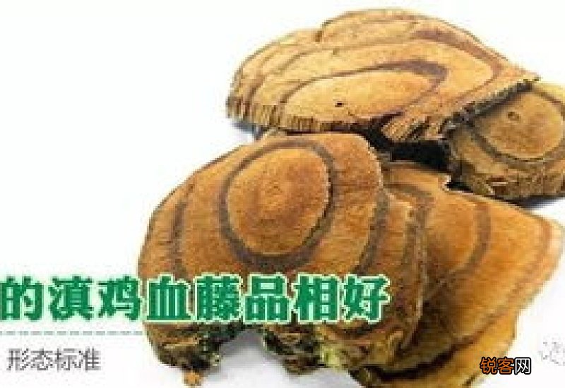 滇鸡血藤的功效与作用 滇鸡血藤的食用方式和注意事项