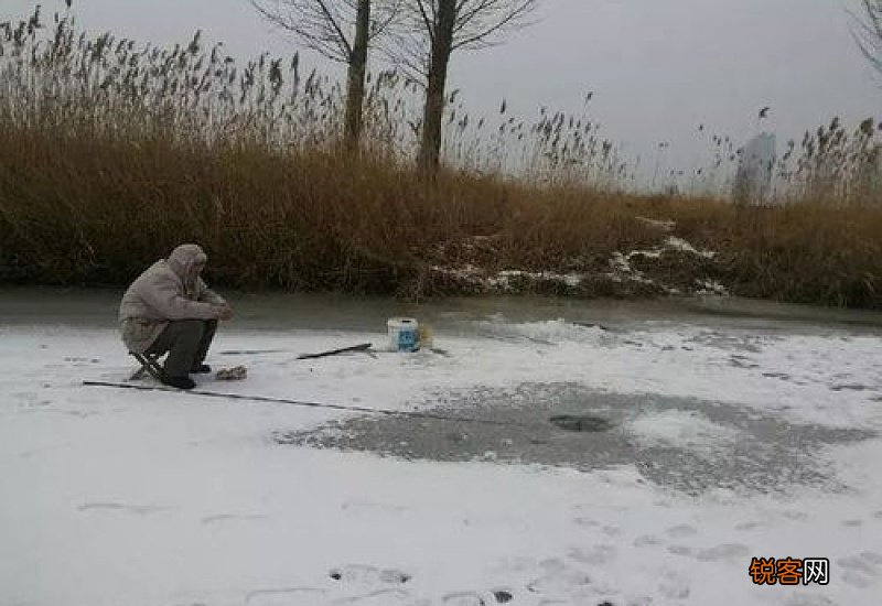 下雪天钓鱼能钓到吗