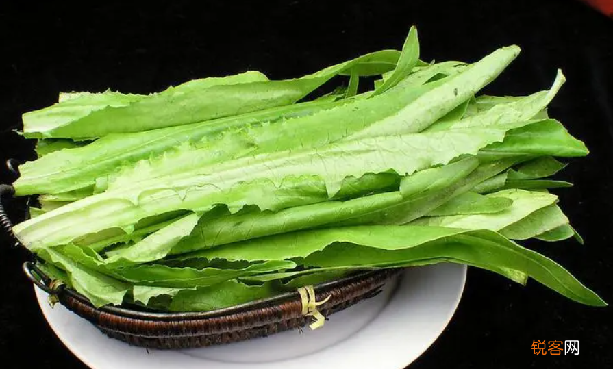 吃什么蔬菜减肥效果最好最快