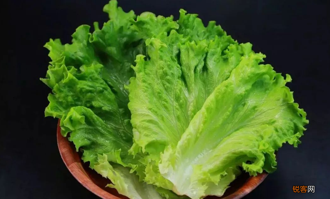 吃什么蔬菜减肥效果最好最快
